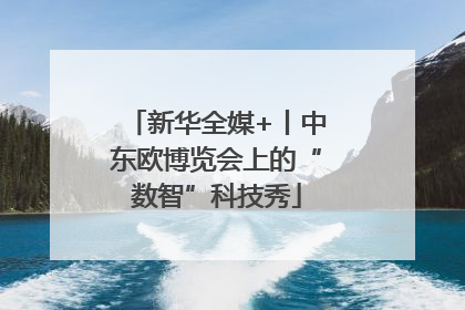 新华全媒+丨中东欧博览会上的“数智”科技秀