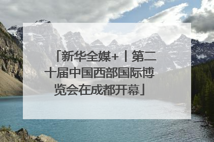 新华全媒+丨第二十届中国西部国际博览会在成都开幕