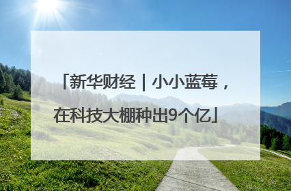 新华财经｜小小蓝莓，在科技大棚种出9个亿