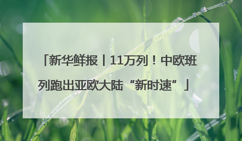 新华鲜报丨11万列！中欧班列跑出亚欧大陆“新时速”
