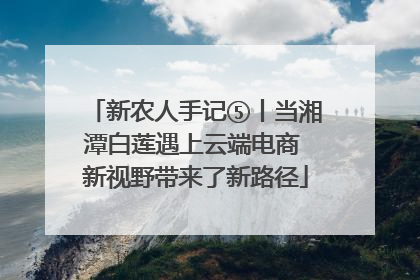 新农人手记⑤丨当湘潭白莲遇上云端电商 新视野带来了新路径