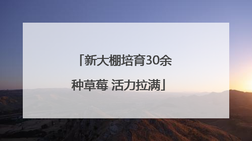 新大棚培育30余种草莓 活力拉满