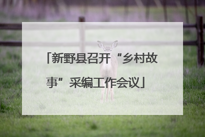 新野县召开“乡村故事”采编工作会议