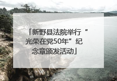 新野县法院举行“光荣在党50年”纪念章颁发活动