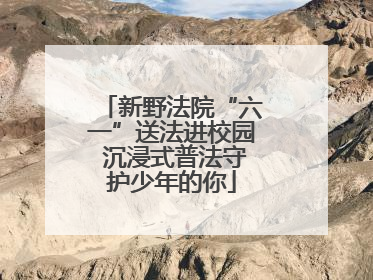 新野法院“六一”送法进校园 沉浸式普法守护少年的你