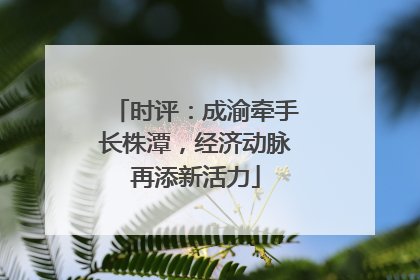 时评：成渝牵手长株潭，经济动脉再添新活力