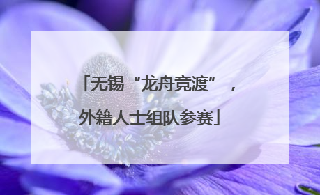 无锡“龙舟竞渡”，外籍人士组队参赛