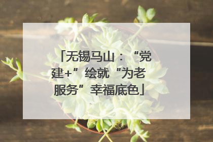 无锡马山：“党建+”绘就“为老服务”幸福底色