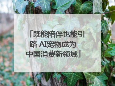 既能陪伴也能引路 AI宠物成为中国消费新领域