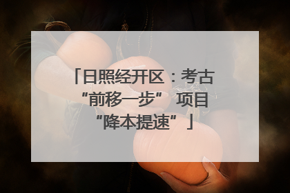 日照经开区：考古“前移一步” 项目“降本提速”