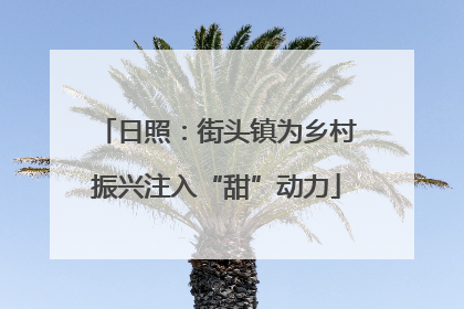 日照：街头镇为乡村振兴注入“甜”动力