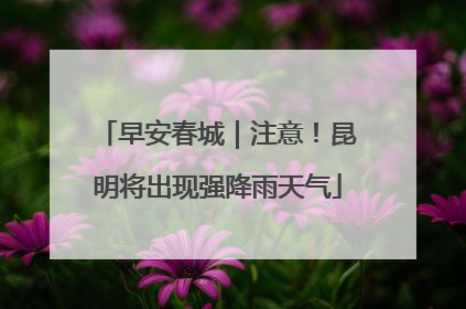 早安春城｜注意！昆明将出现强降雨天气