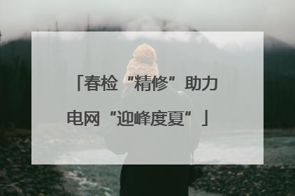 春检“精修”助力电网“迎峰度夏”