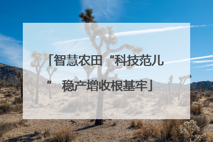 智慧农田“科技范儿” 稳产增收根基牢