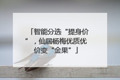 智能分选“提身价”，仙居杨梅优质优价变“金果”