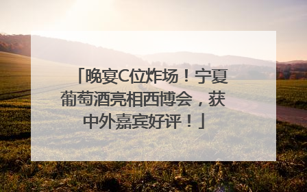 晚宴C位炸场！宁夏葡萄酒亮相西博会，获中外嘉宾好评！