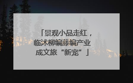 景观小品走红，临沭柳编藤编产业成文旅“新宠”