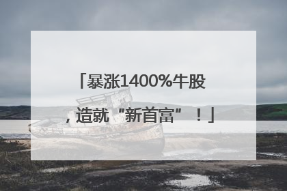 暴涨1400%牛股，造就“新首富”！