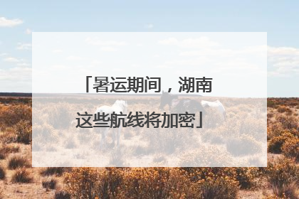 暑运期间，湖南这些航线将加密