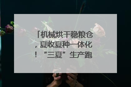 机械烘干稳粮仓，夏收夏种一体化！“三夏”生产跑出加速度｜麦报