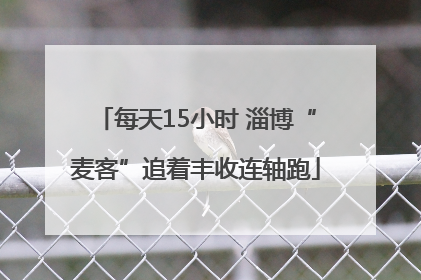 每天15小时 淄博“麦客”追着丰收连轴跑