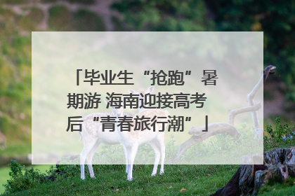 毕业生“抢跑”暑期游 海南迎接高考后“青春旅行潮”