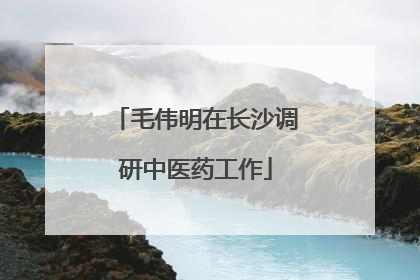 毛伟明在长沙调研中医药工作