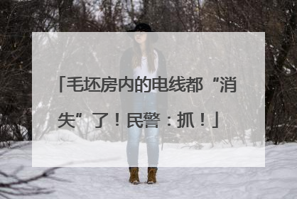 毛坯房内的电线都“消失”了！民警：抓！