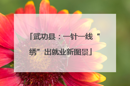 武功县：一针一线“绣”出就业新图景