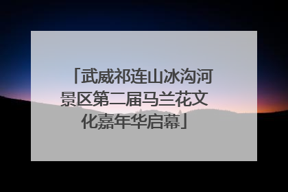 武威祁连山冰沟河景区第二届马兰花文化嘉年华启幕