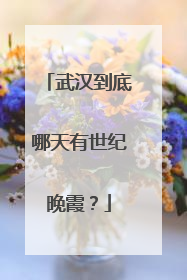 武汉到底哪天有世纪晚霞？