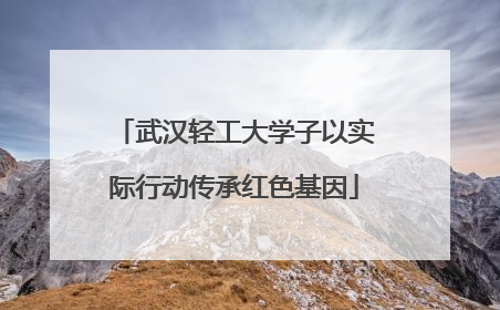 武汉轻工大学子以实际行动传承红色基因