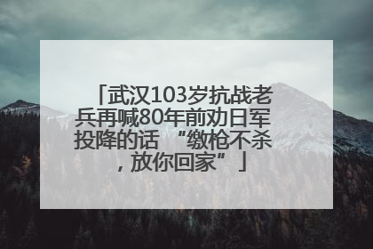 武汉103岁抗战老兵再喊80年前劝日军投降的话 “缴枪不杀，放你回家”