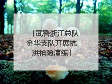 武警浙江总队金华支队开展抗洪抢险演练
