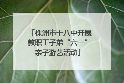 株洲市十八中开展教职工子弟“六一”亲子游艺活动