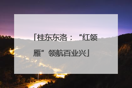 桂东东洛：“红领雁”领航百业兴