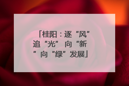 桂阳：逐“风”追“光” 向“新”向“绿”发展