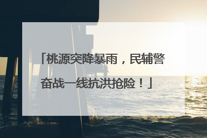 桃源突降暴雨，民辅警奋战一线抗洪抢险！