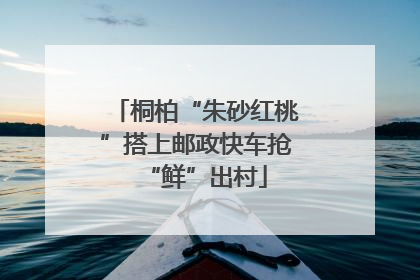 桐柏“朱砂红桃”搭上邮政快车抢“鲜”出村