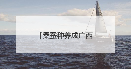 桑蚕种养成广西柳州柳江区民众增收致富特色产业