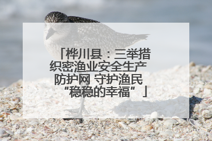 桦川县：三举措织密渔业安全生产防护网 守护渔民“稳稳的幸福”