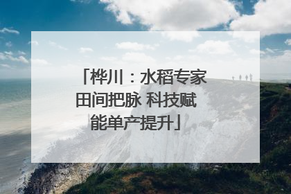 桦川：水稻专家田间把脉 科技赋能单产提升
