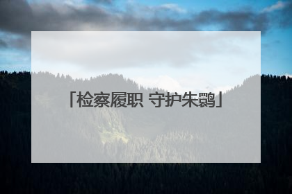 检察履职 守护朱鹮
