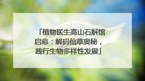 植物医生高山石斛馆启幕：解码仙草奥秘，践行生物多样性发展