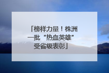 榜样力量！株洲一批“热血英雄”受省级表彰