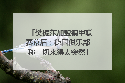 樊振东加盟德甲联赛幕后：德国俱乐部称一切来得太突然