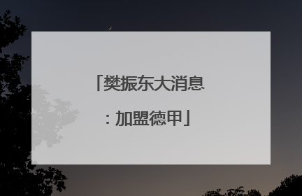 樊振东大消息：加盟德甲