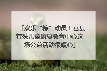 欢乐“粽”动员！莒县特殊儿童康复教育中心这场公益活动很暖心