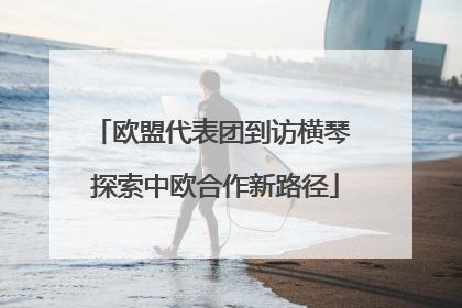 欧盟代表团到访横琴 探索中欧合作新路径