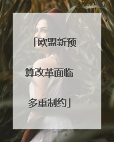 欧盟新预算改革面临多重制约